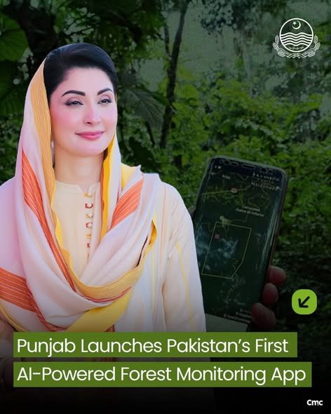 CM Punjab AI App for Forest Monitoring 
