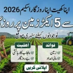 apna khet apna rozgar scheme 2026 eligibility apply process Punjab