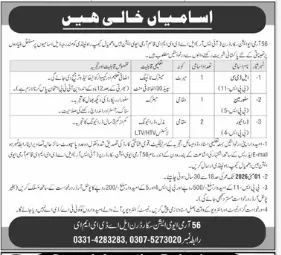 LDC Driver and Storeman jobs in Army Aviation Squadron