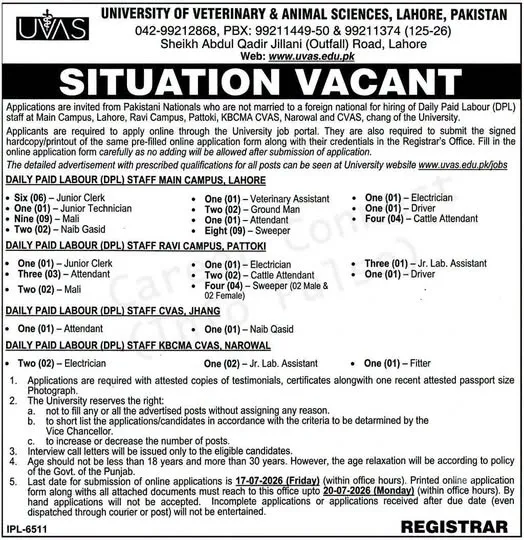 University of Veterinary & Animal Sciences Lahore Jobs 2026 online apply