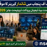 Bank of Punjab Segment Head Digital Product Development Jobs 2026 / BOP Digital Banking Careers