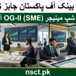National Bank of Pakistan Relationship Manager SME OG-II jobs 2026 advertisement showing corporate banking career opportunity for graduates in Pakistan across multiple cities.