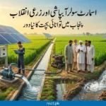 Punjab solar tubewell subsidy scheme 2026 showing farmers using solar irrigation system in farmland