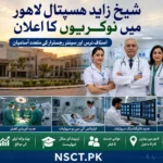 Shaikh Zayed Hospital Lahore Jobs 2026 Staff Nurse BPS-16 vacancies announced for Pakistani female nurses.