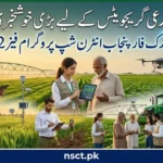 Work for Punjab Internship Program 2026 / agriculture graduates internship scheme / Punjab government initiative