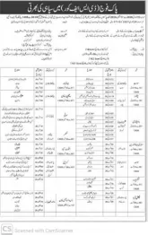 Pak Army DSF Corps Jobs 2026 advertisement