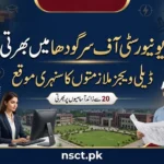 University of Sargodha has announced Daily Wages Jobs 2026 with 60+ vacancies for electricians, engineers, data entry operators, drivers, plumbers, helpers, mechanics, and many other positions.